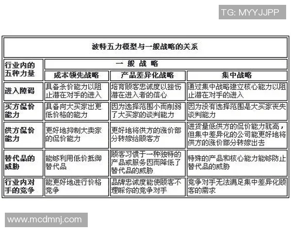 武汉篮球队在世锦赛中的团队协作表现分析与点评