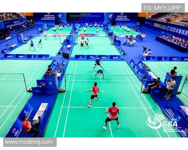 深圳羽毛球队精英赛技术表现分析与未来发展展望